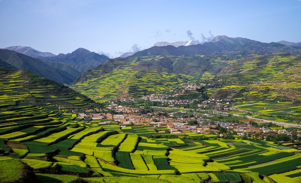 甘肃省天水市武山县滩歌油菜花海