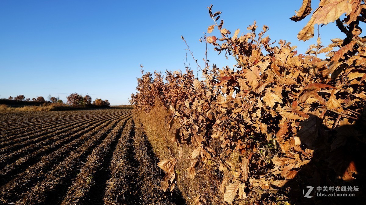 #版主坐堂#2018年10月份《承德》优秀作品选辑