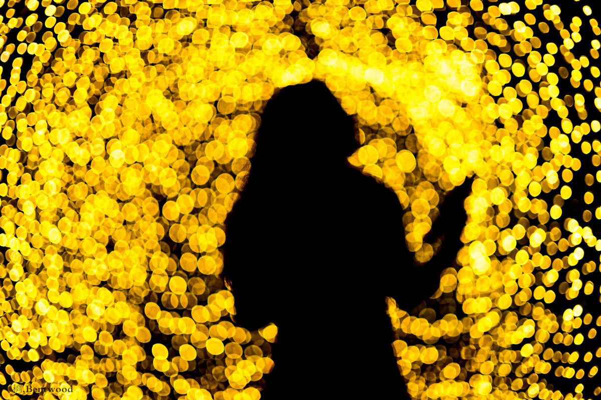 在镜之丛林中发现的星光小径