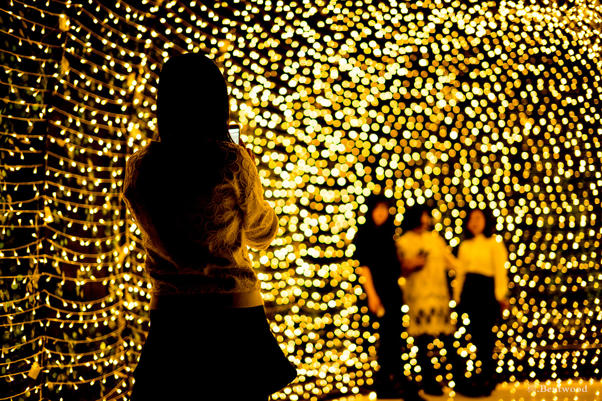 在镜之丛林中发现的星光小径