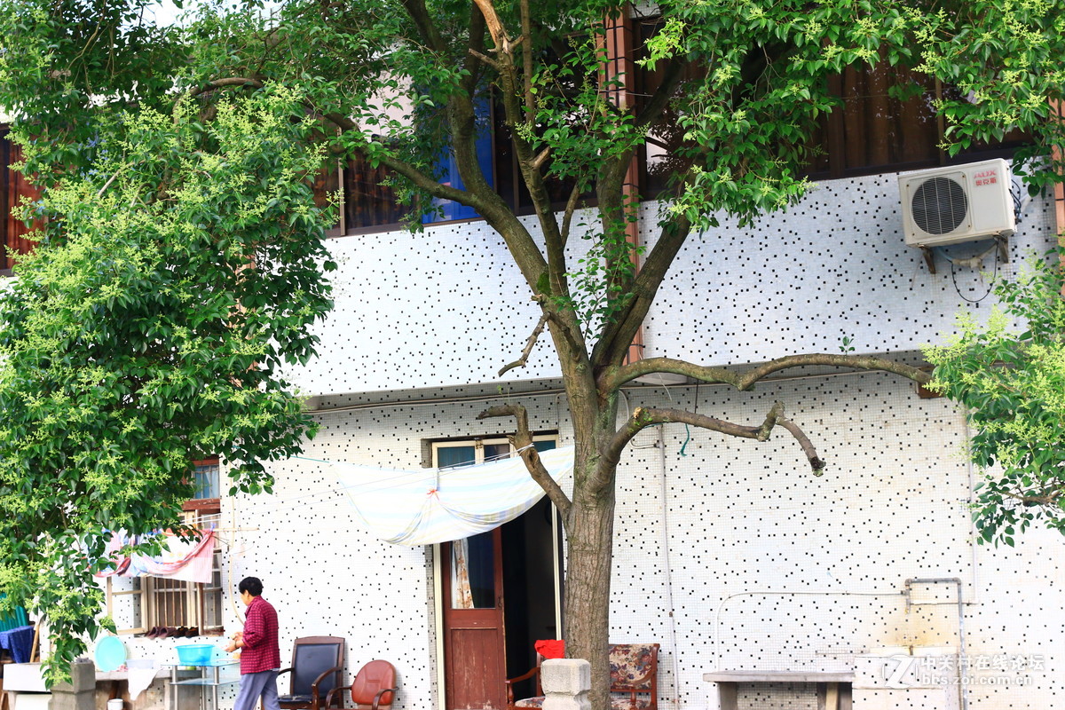 海岛的小市民生活