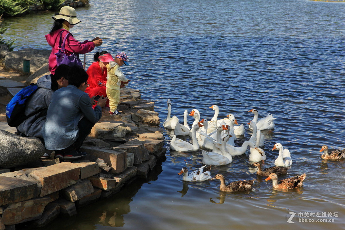 大学校园掠影——大连海事大学心海湖
