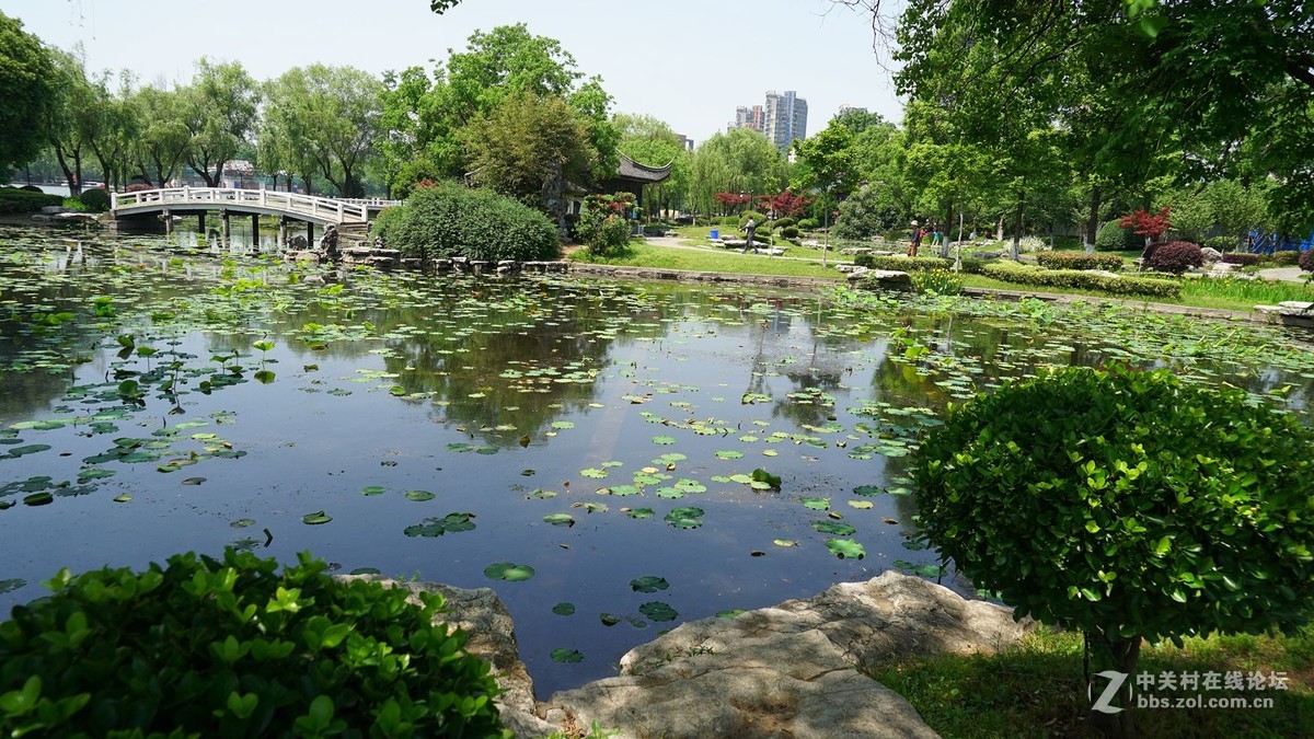 南京莫愁湖公園掠影