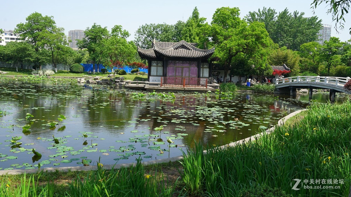 南京莫愁湖公園掠影