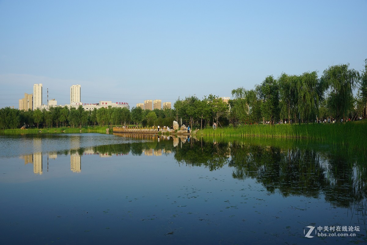 城市湿地公园夏日风景3