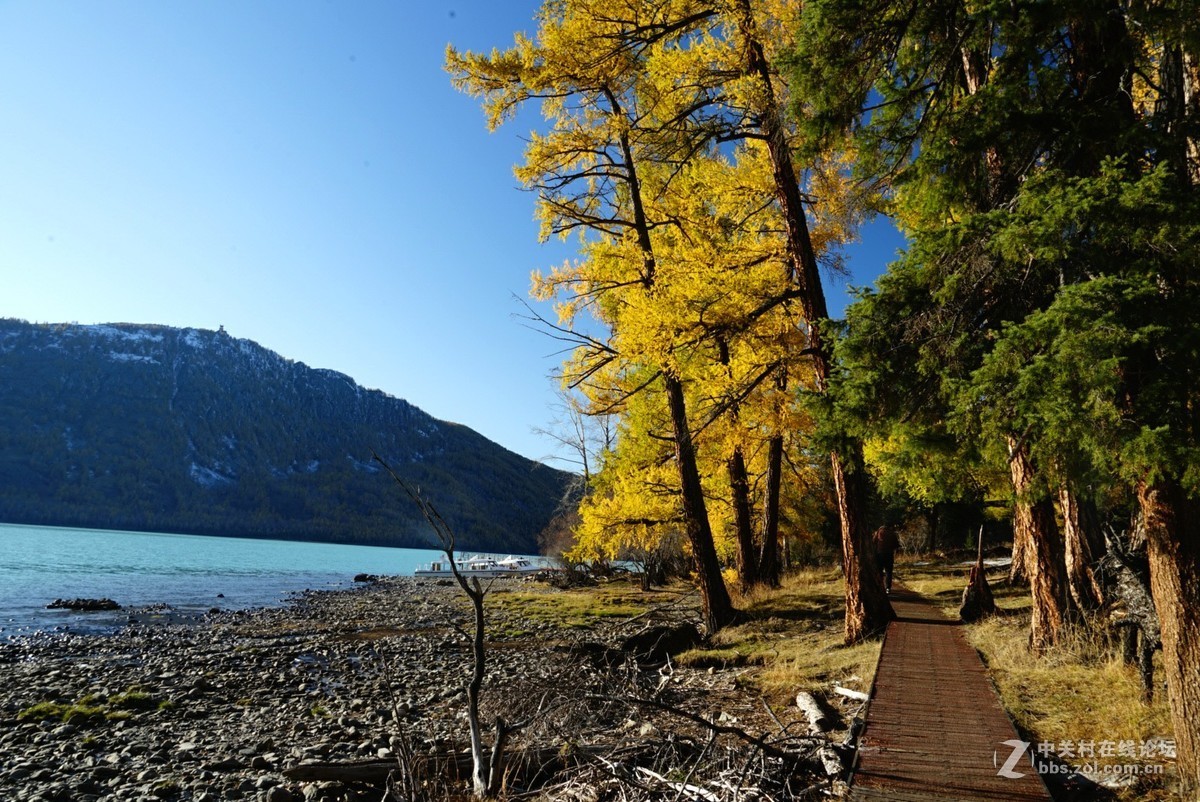 大美新疆喀纳斯湖