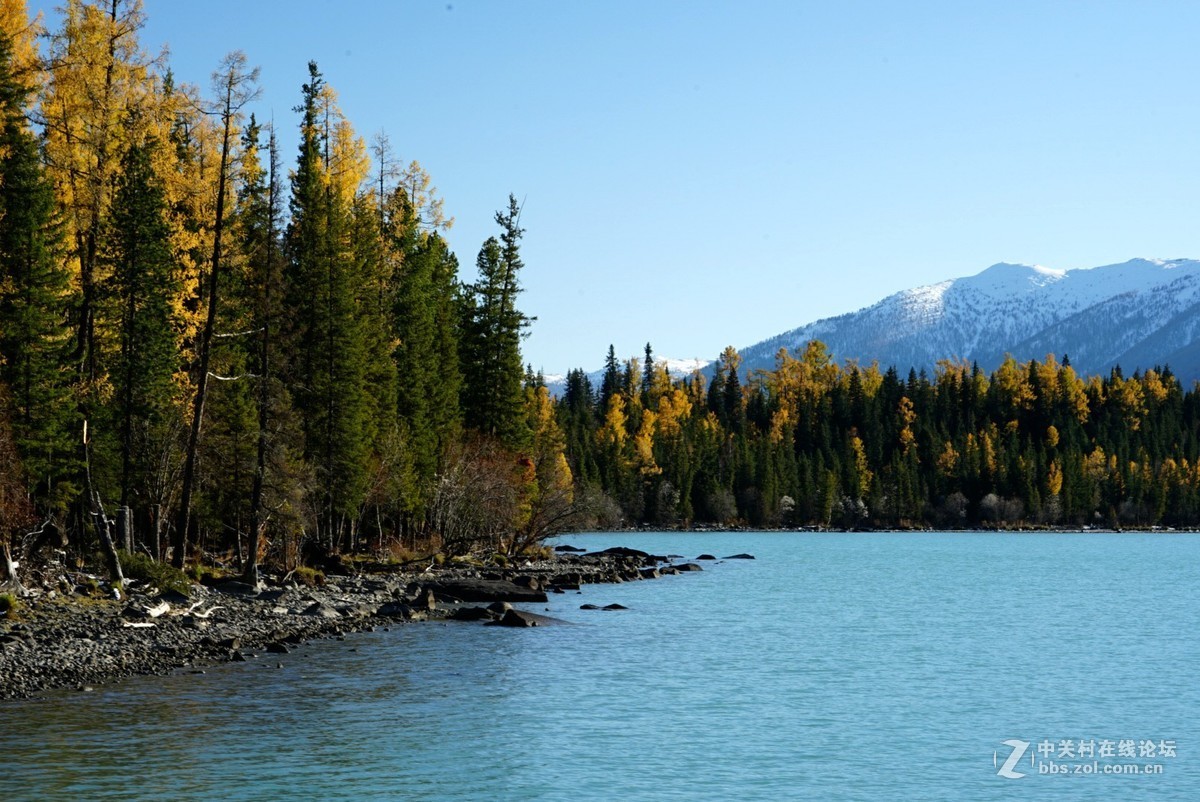 大美新疆喀纳斯湖