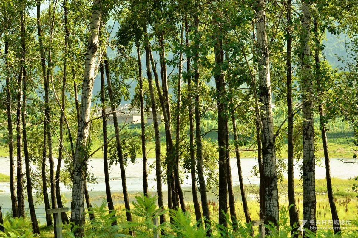 “鸭绿江”两岸风景（三）