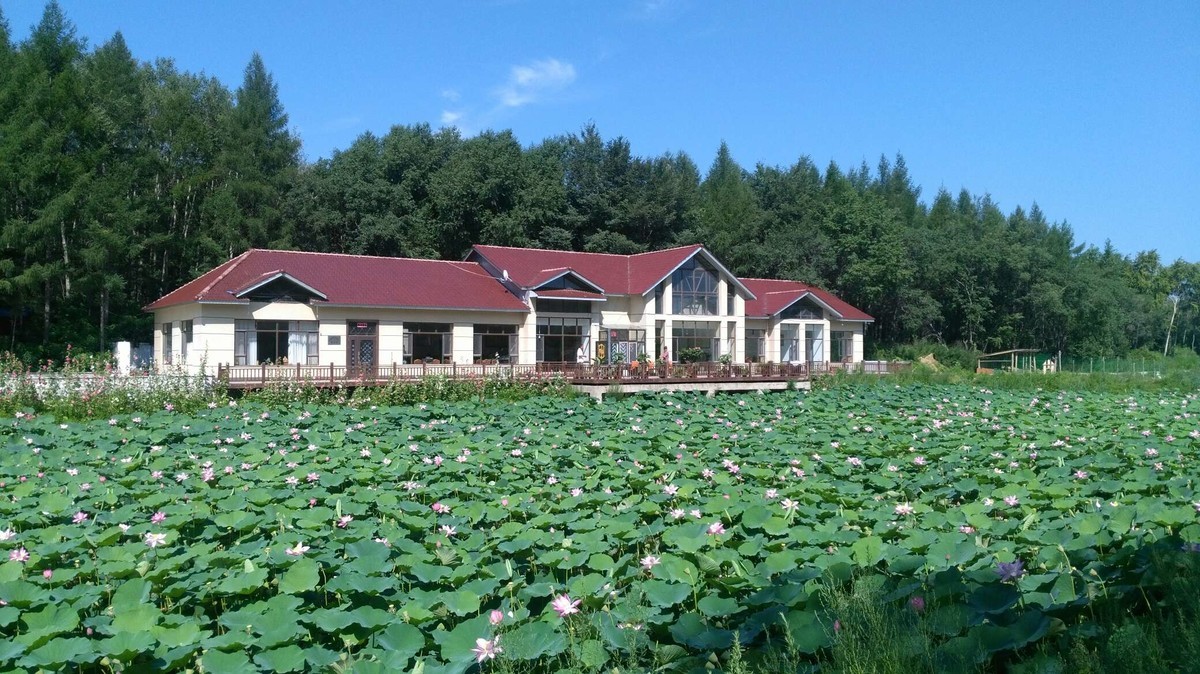 大美榆树之榆水泉山庄