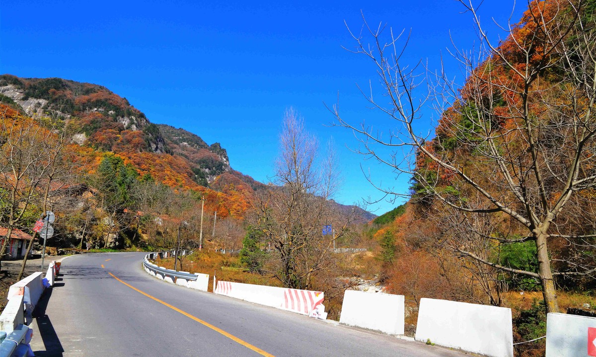 层林秋尽染秦岭g210国道沿途的醉人秋色