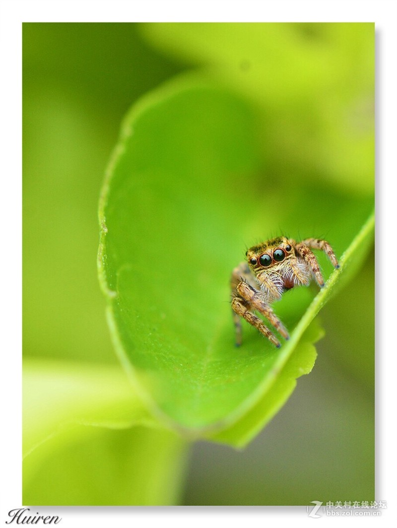 #版主坐堂# 尼康镜头星空(中国)2018年10月部分优秀作品欣赏