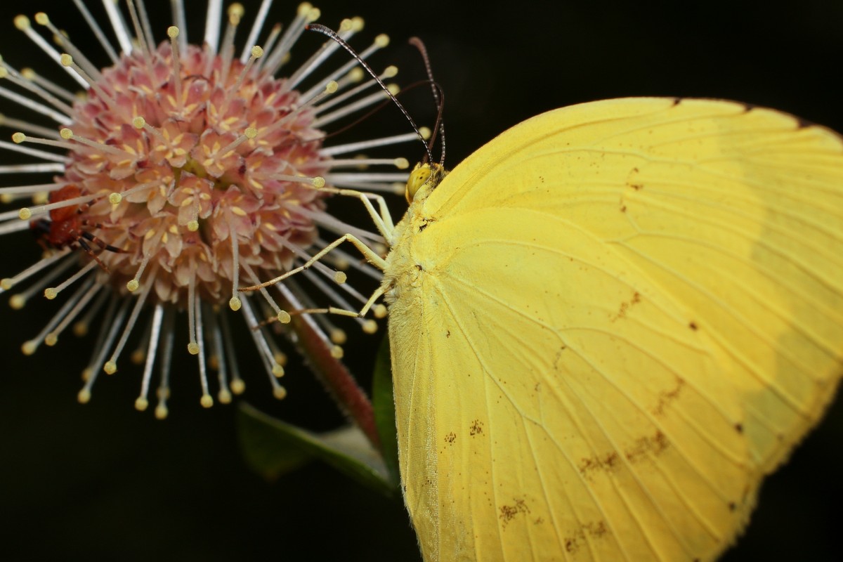 自然光下拾趣。