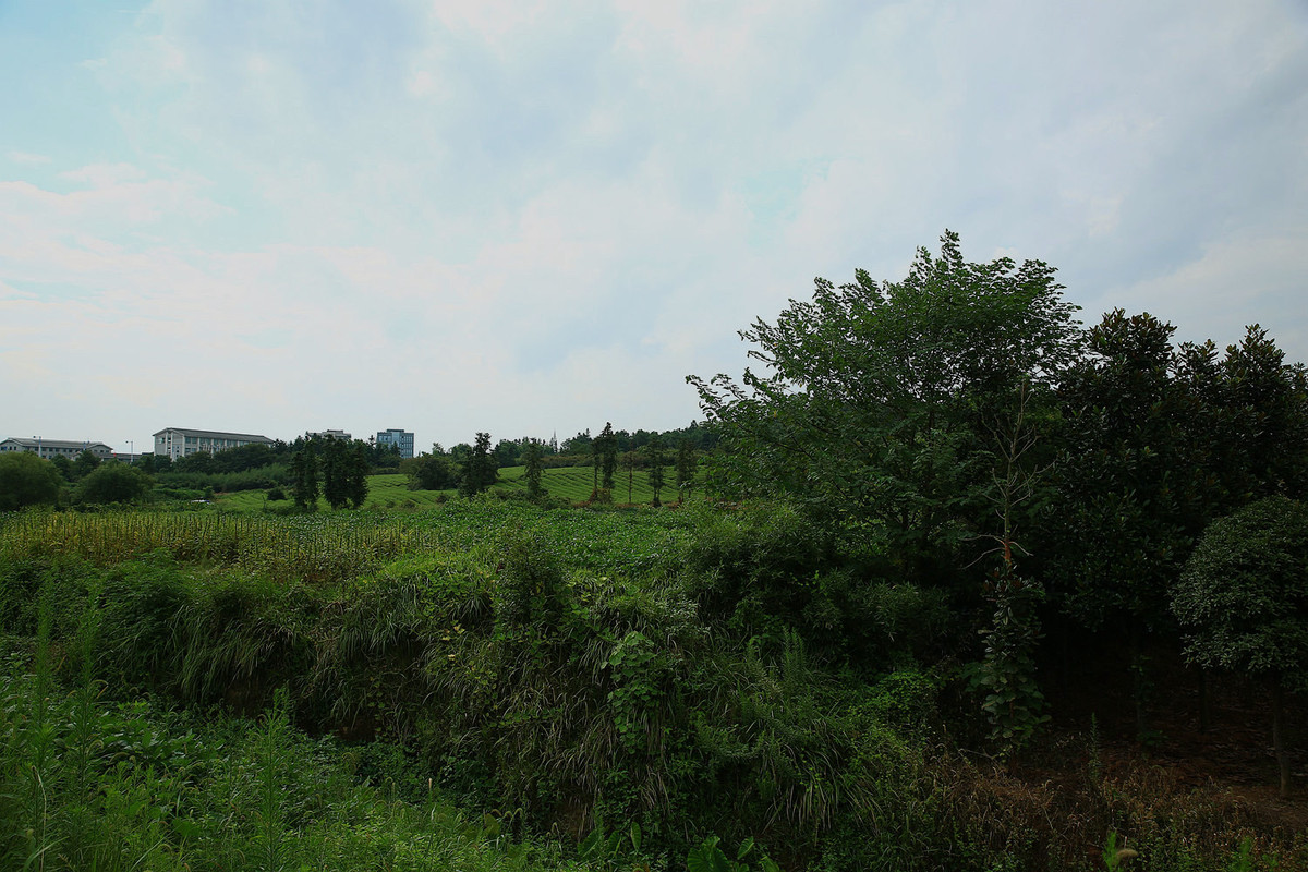 自驾摄游--武义洞后的美景【34】