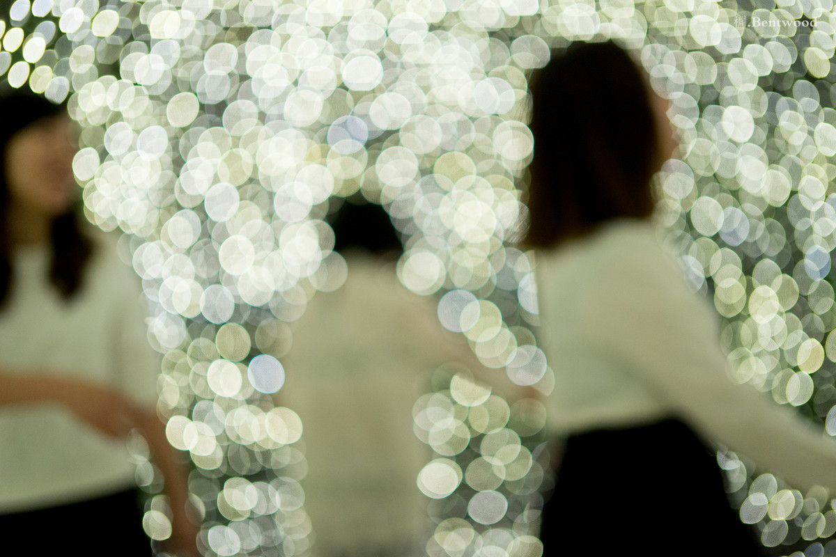 在镜之丛林中发现的星光小径