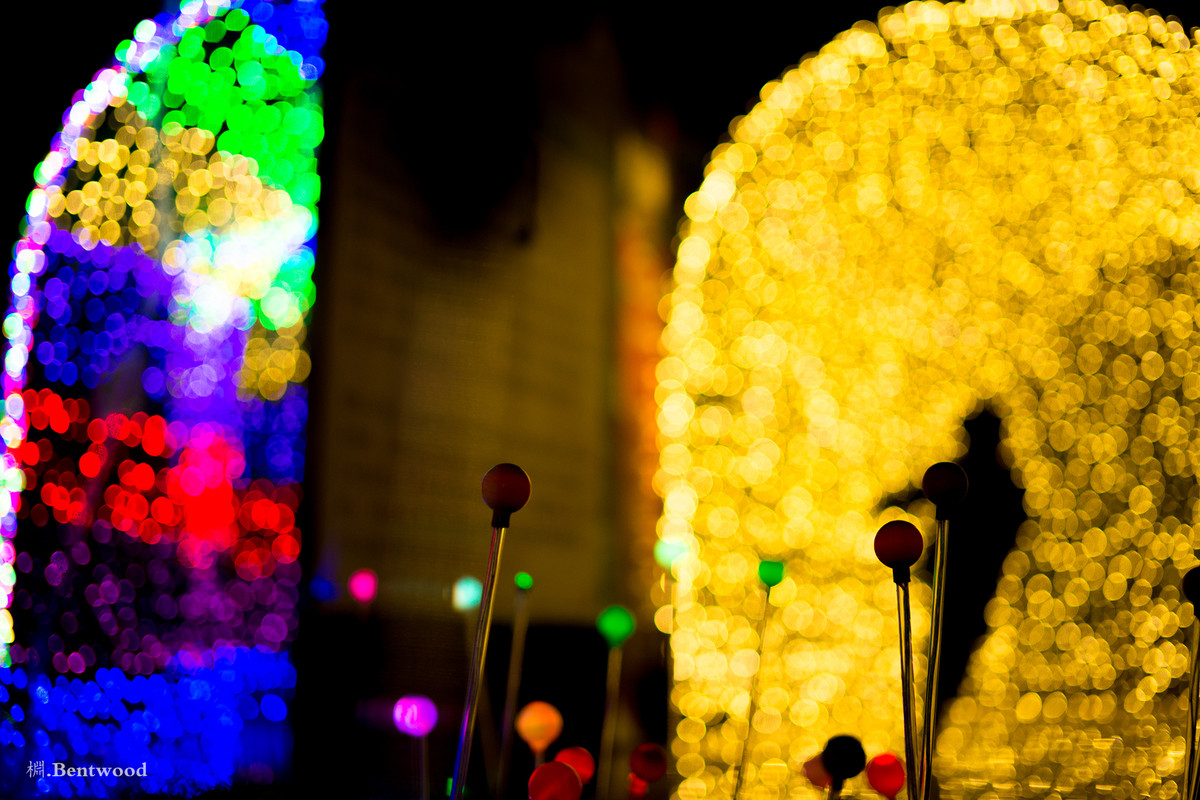 在镜之丛林中发现的星光小径