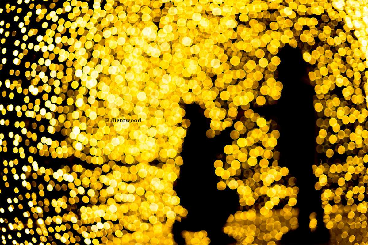 在镜之丛林中发现的星光小径