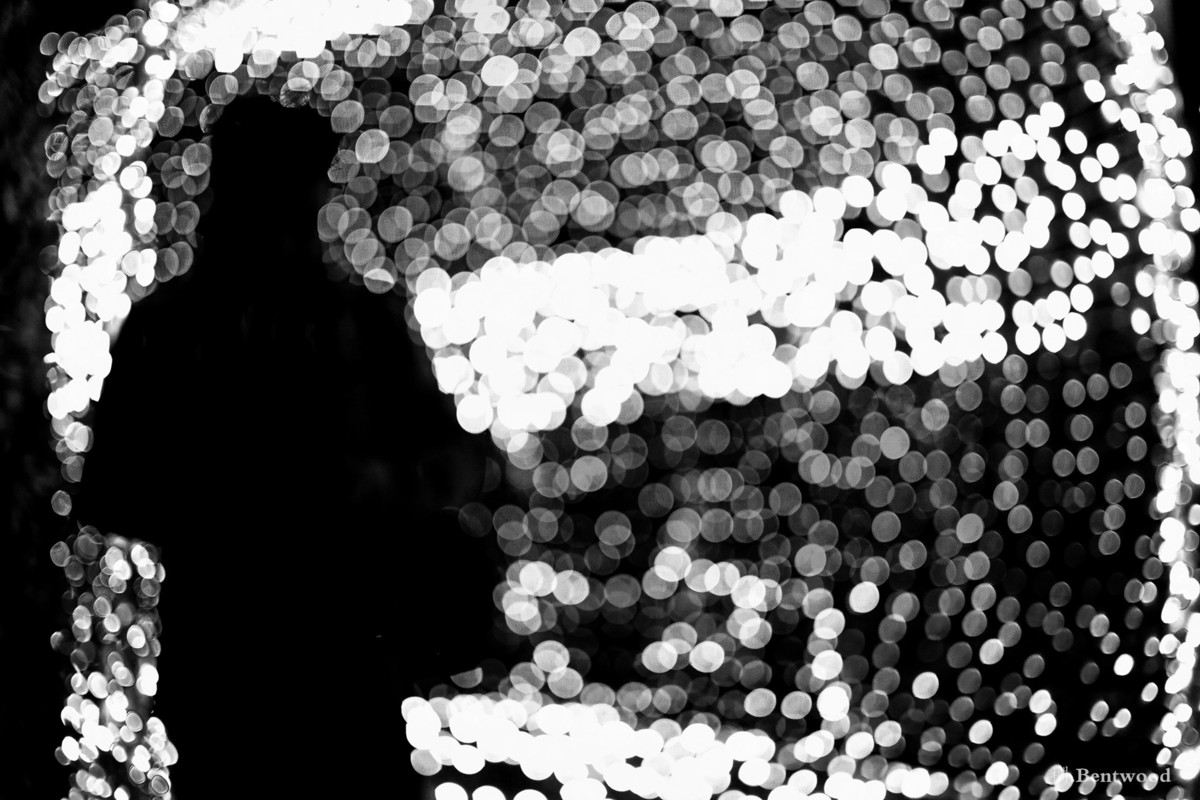 在镜之丛林中发现的星光小径