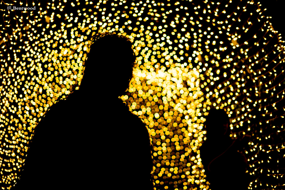 在镜之丛林中发现的星光小径