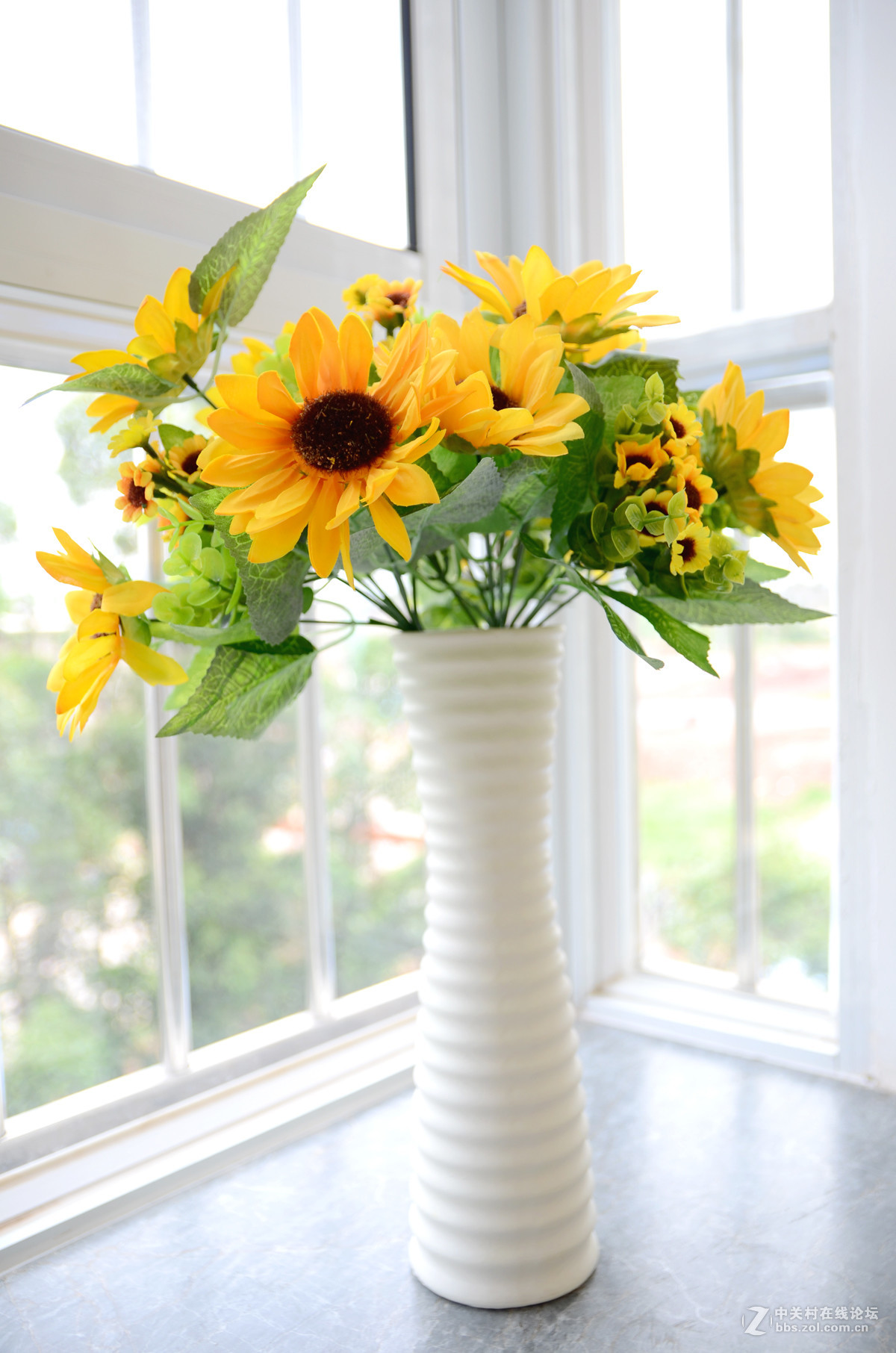 房间里的几幅塑料花