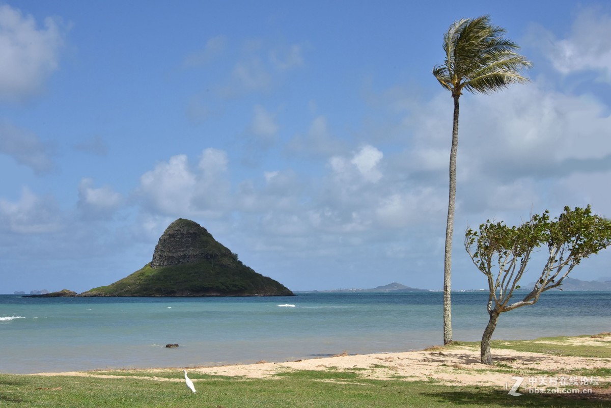 夏威夷草帽島