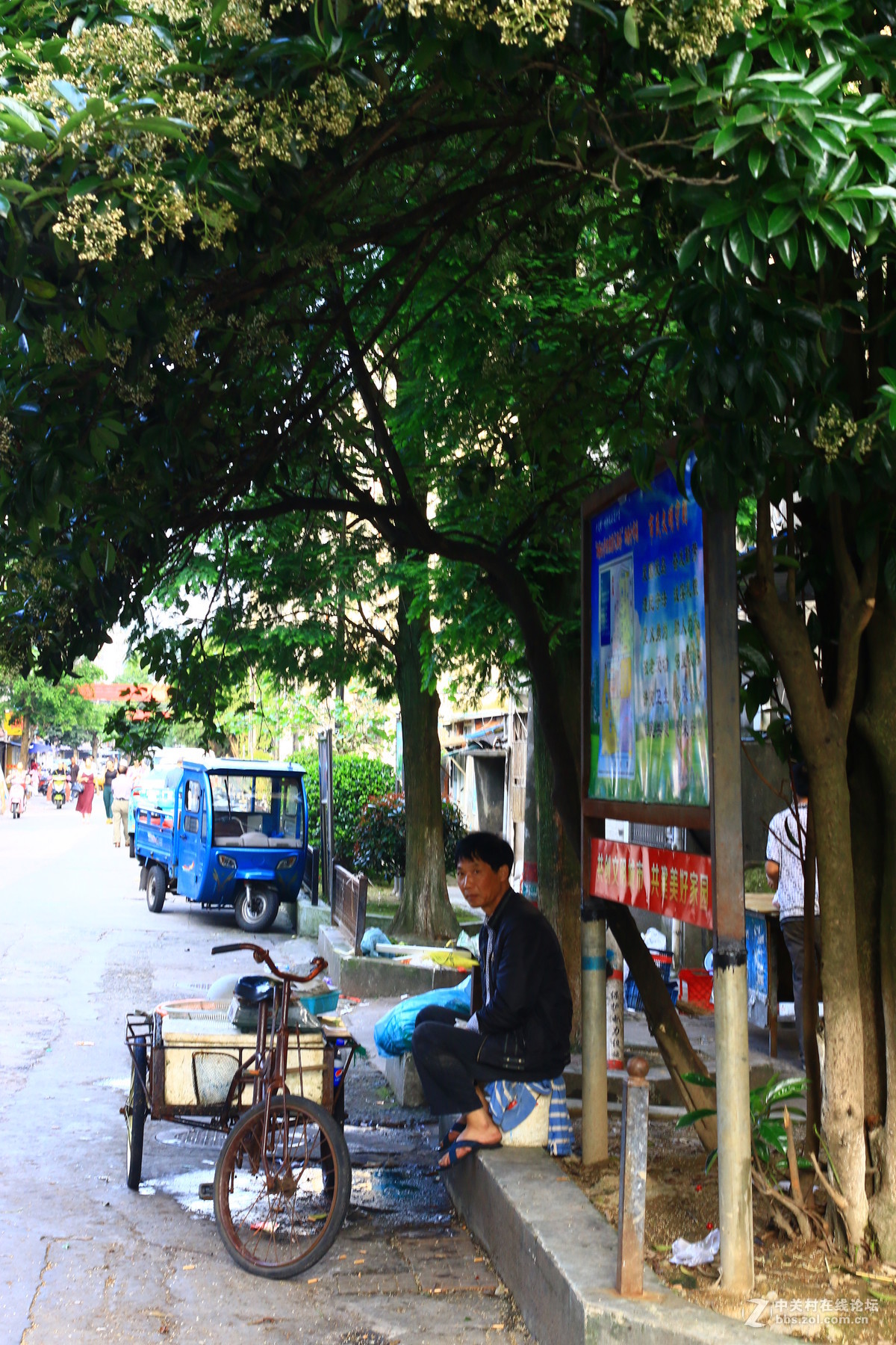 海岛的小市民生活