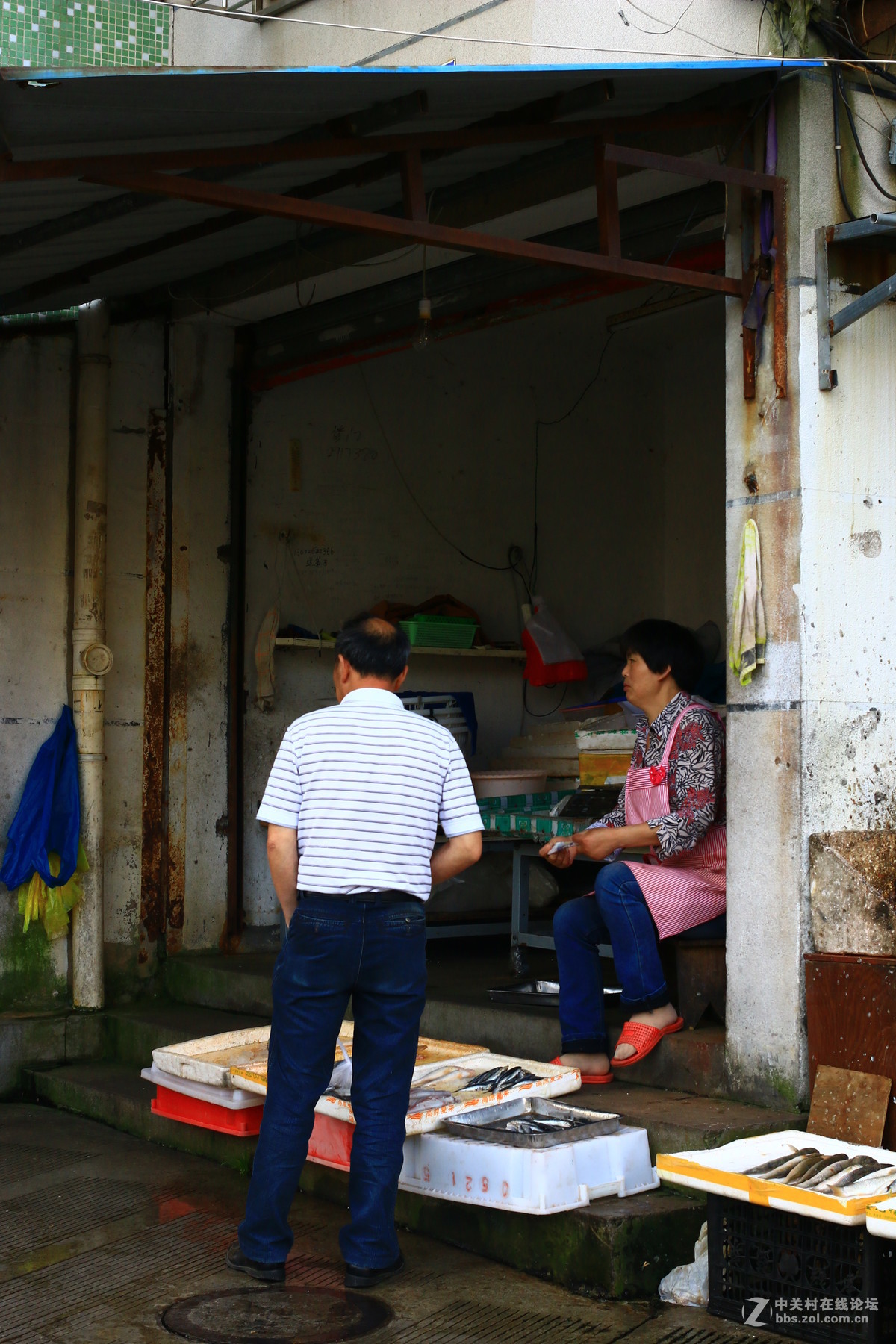 海岛的小市民生活