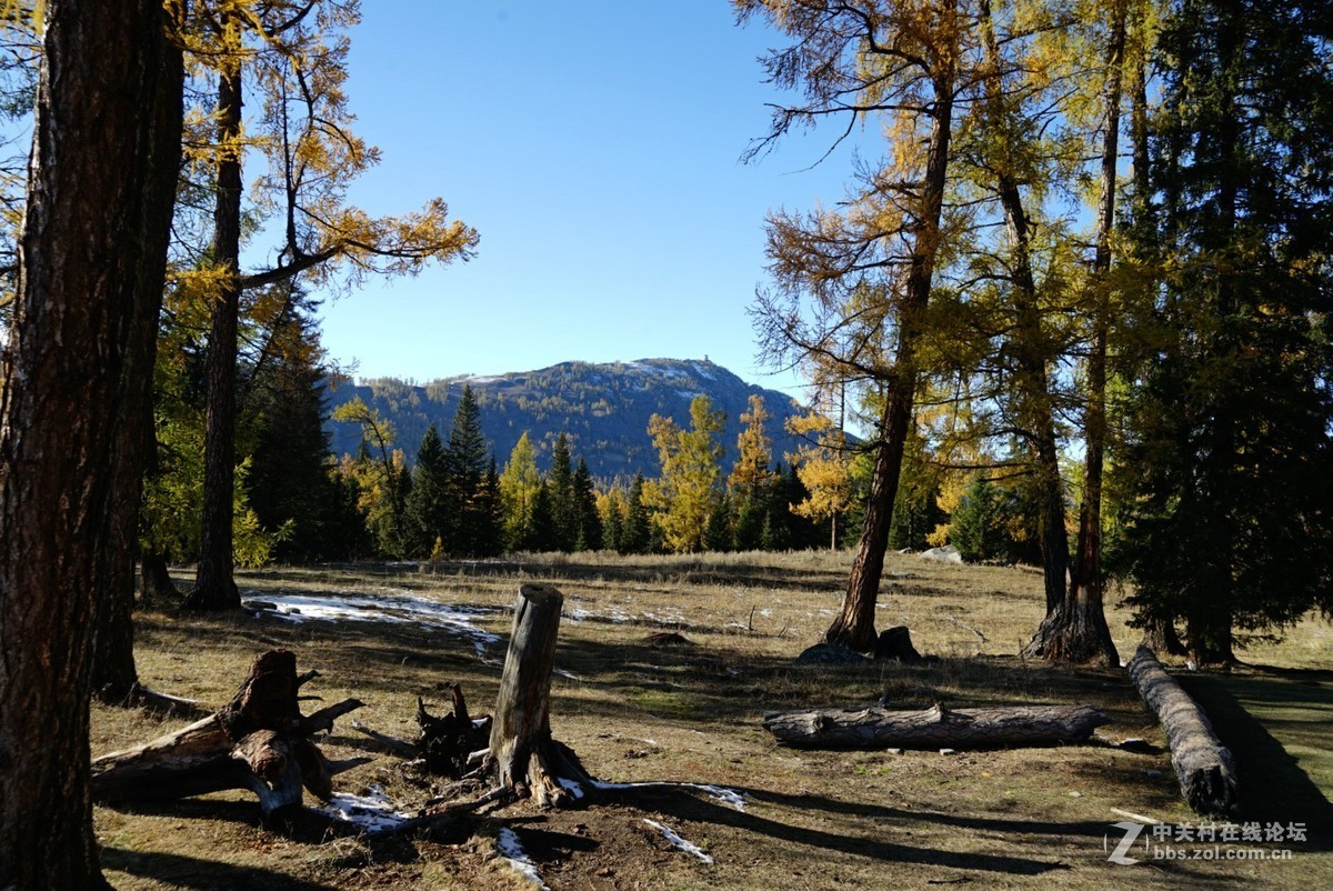 大美新疆喀纳斯湖