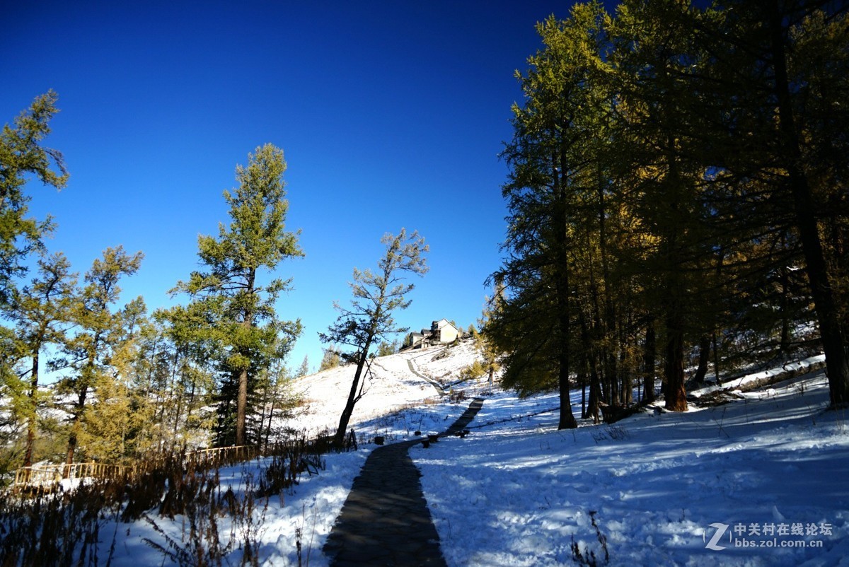 大美新疆喀纳斯湖