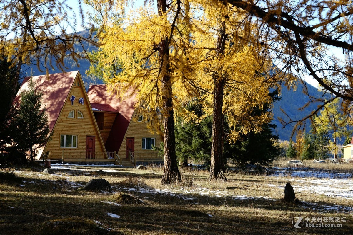大美新疆喀纳斯湖