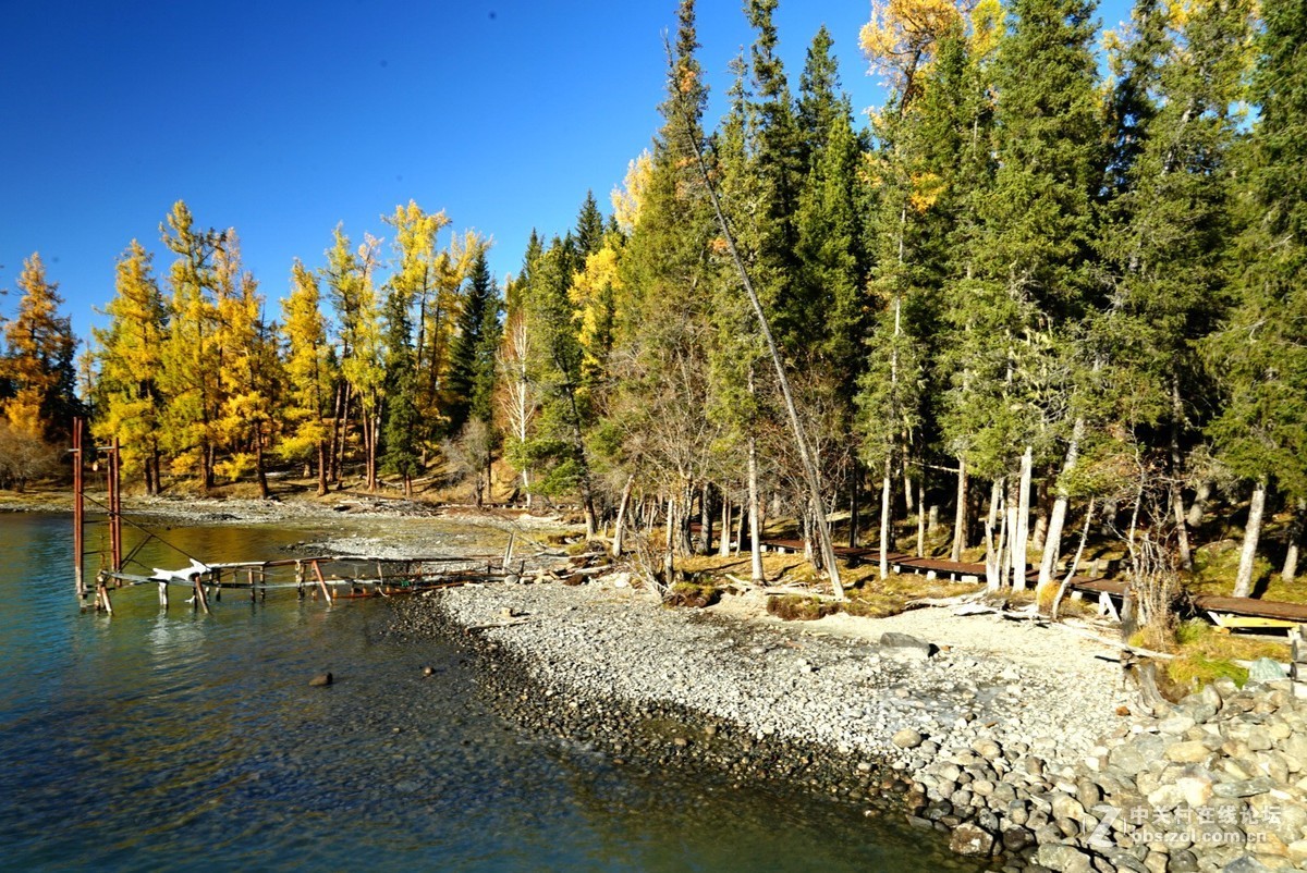 大美新疆喀纳斯湖