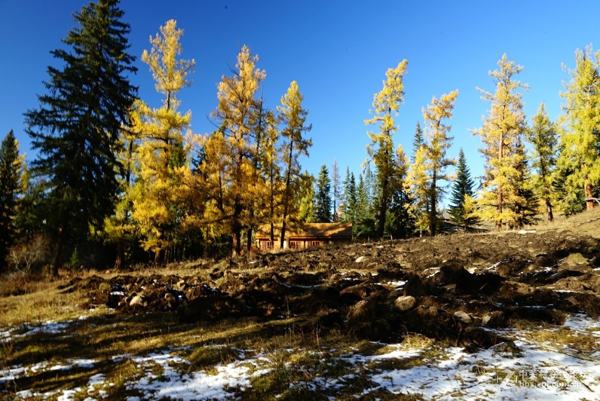 大美新疆喀纳斯湖