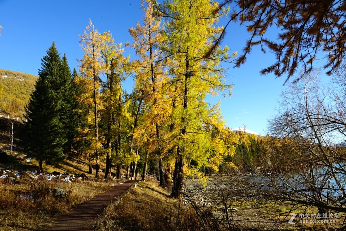 大美新疆喀纳斯湖