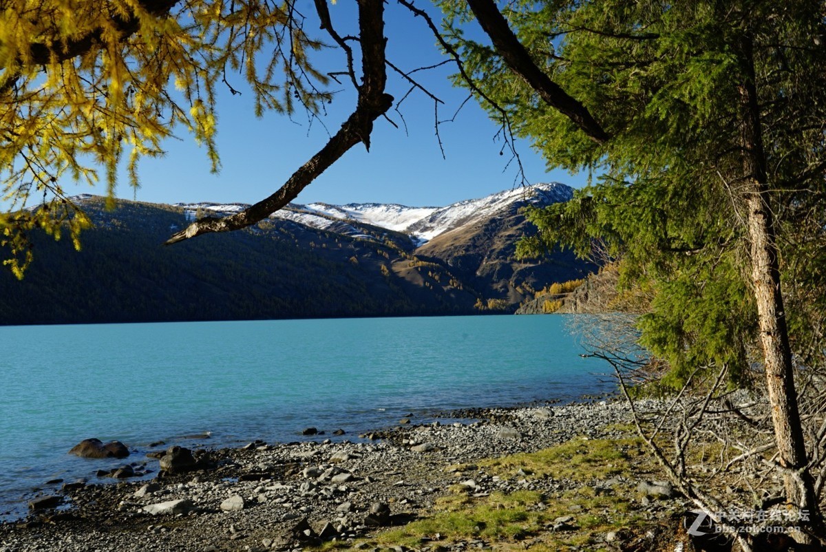大美新疆喀纳斯湖