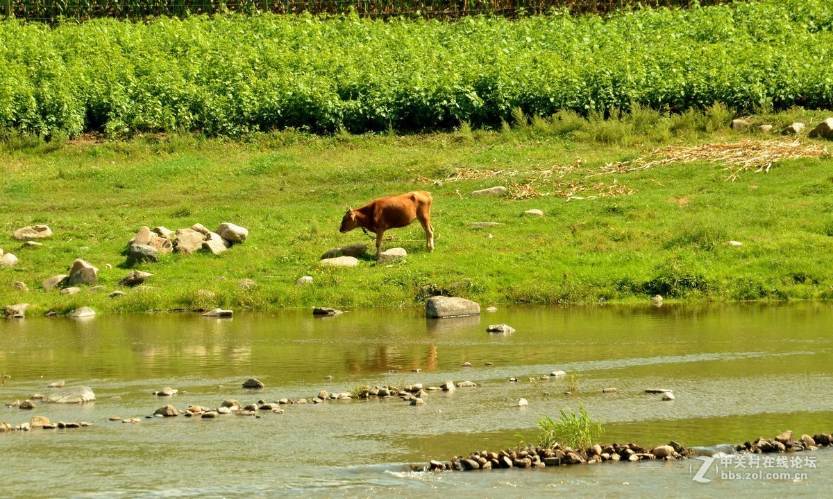“鸭绿江”两岸风景（三）