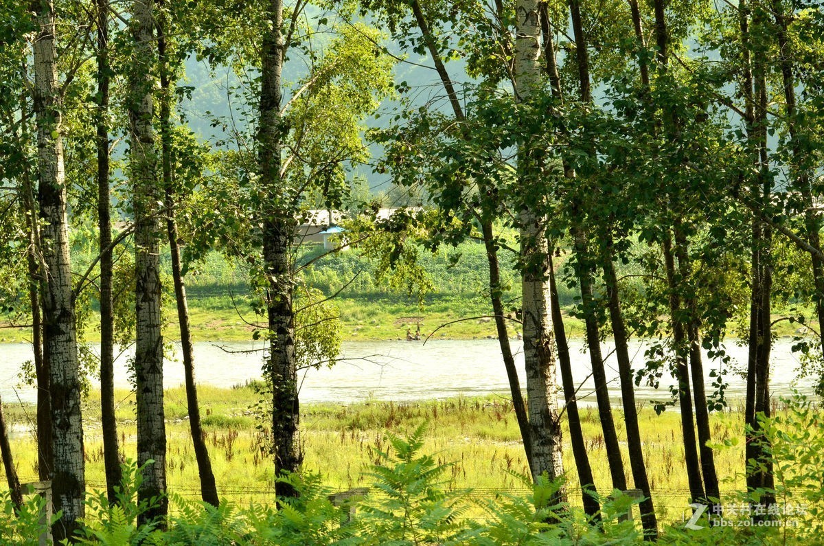 “鸭绿江”两岸风景（三）