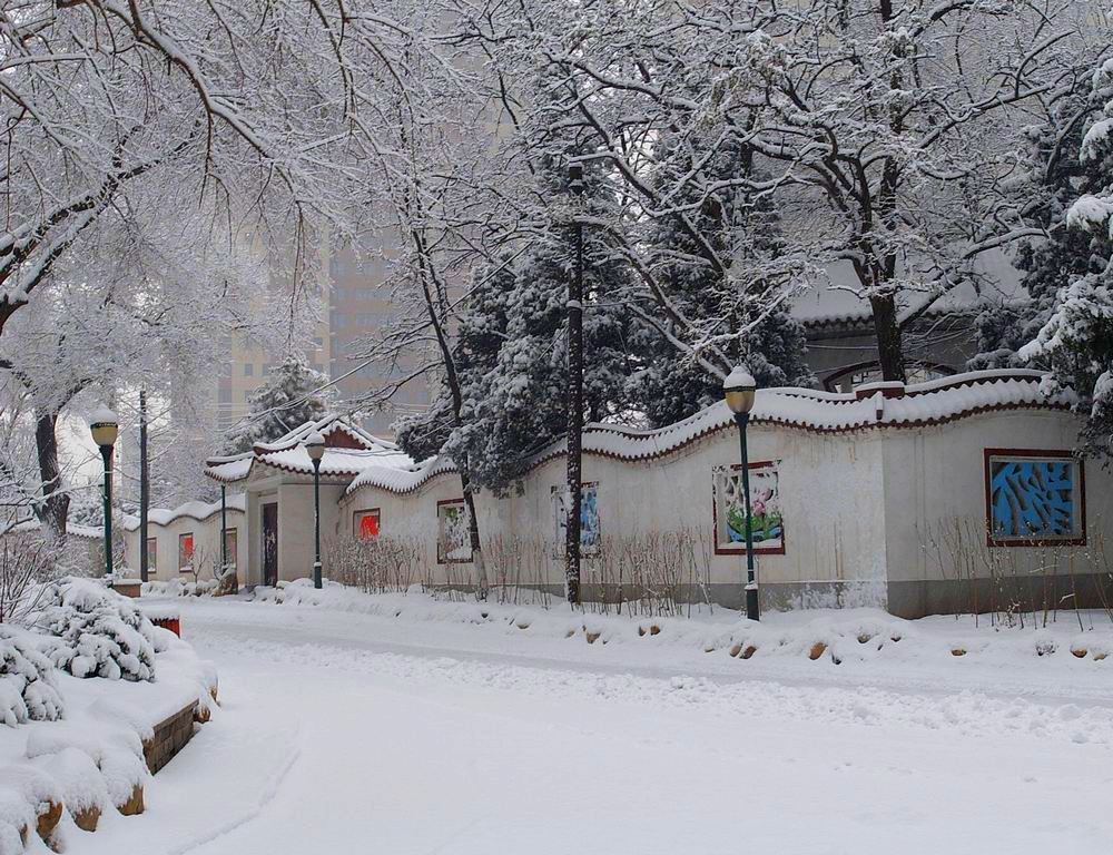 公园里的雪景