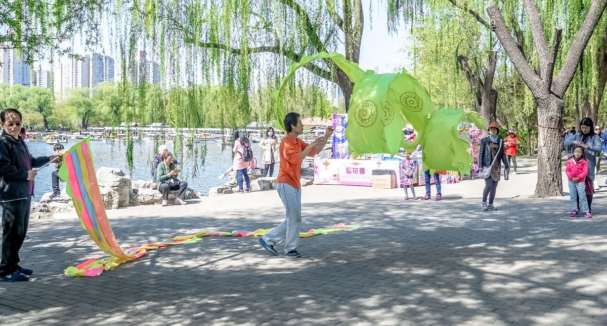 游拍玉渊潭20180415《41》