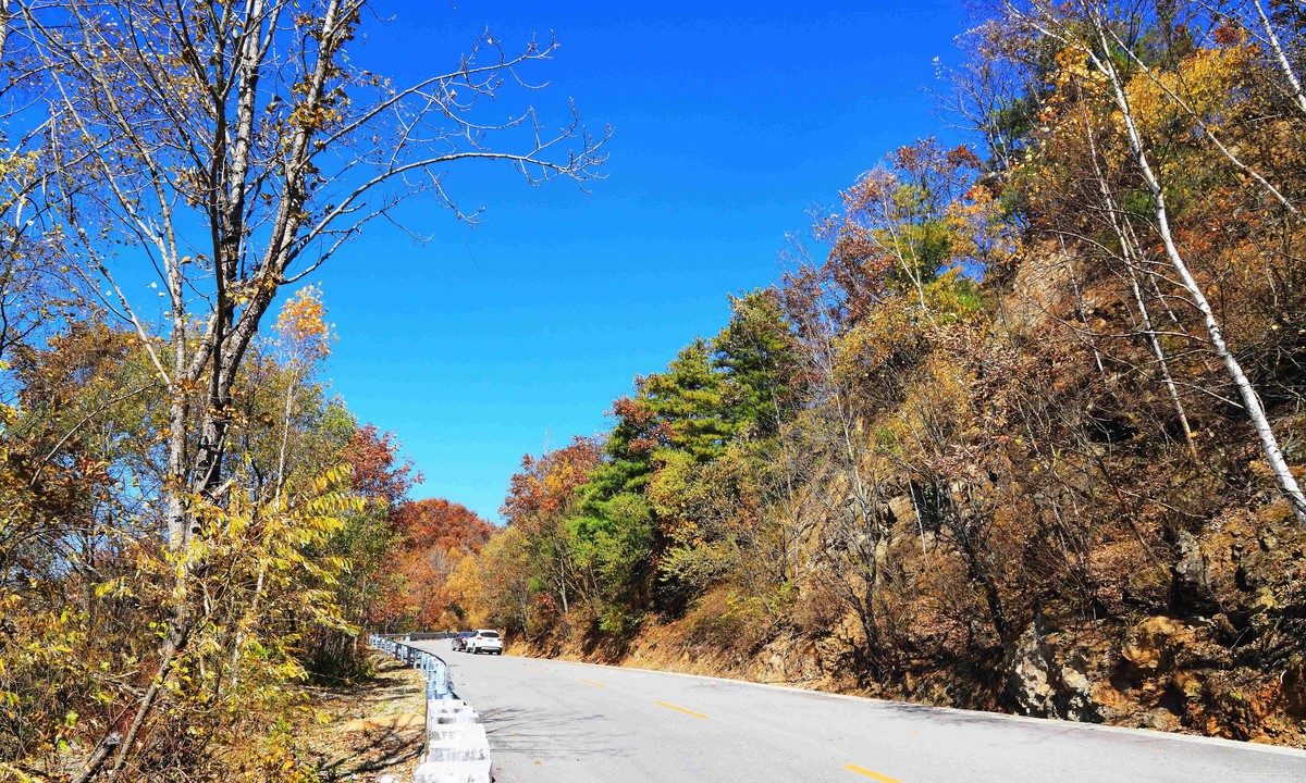 层林秋尽染秦岭g210国道沿途的醉人秋色