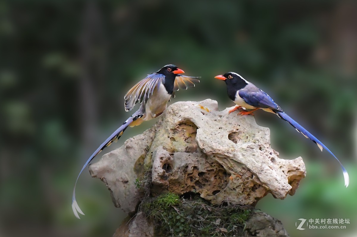 #版主坐堂# 尼康镜头星空(中国)2018年10月部分优秀作品欣赏