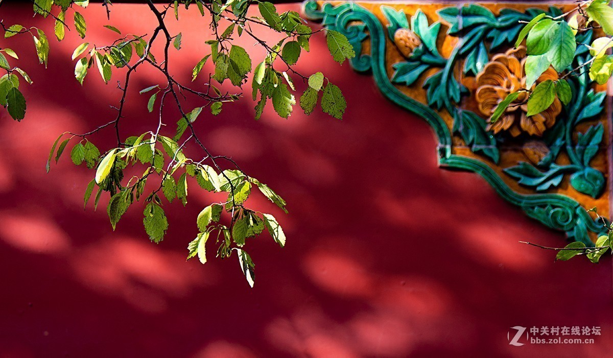 #版主坐堂# 尼康镜头星空(中国)2018年10月部分优秀作品欣赏