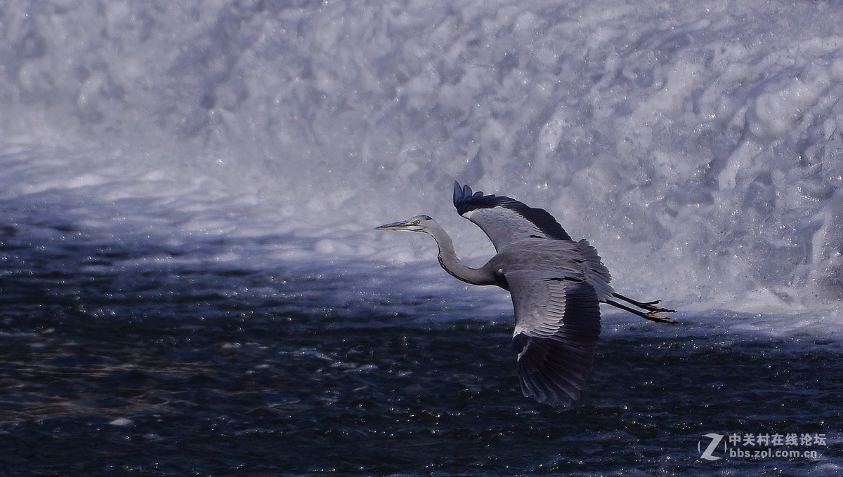 #版主坐堂# 尼康镜头星空(中国)2018年10月部分优秀作品欣赏