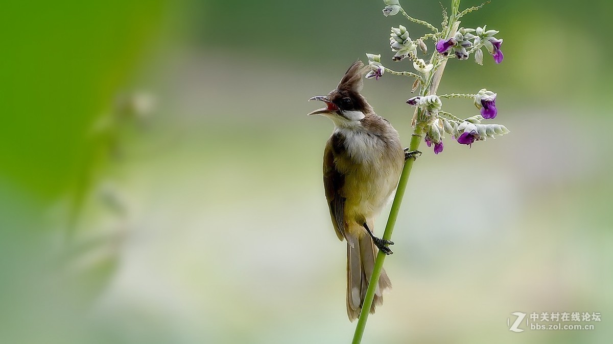 #版主坐堂# 尼康镜头星空(中国)2018年10月部分优秀作品欣赏