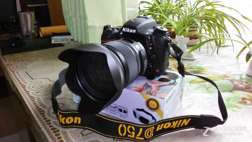 尼康D750适马24-105镜头用户前来报道