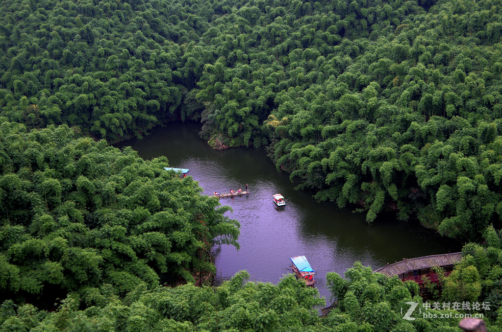 樂山沐川竹海隨拍