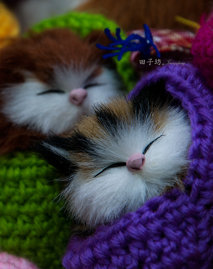 #ZOL月赛-记录最后的2015#【浮光掠影田子坊 】（小品篇）