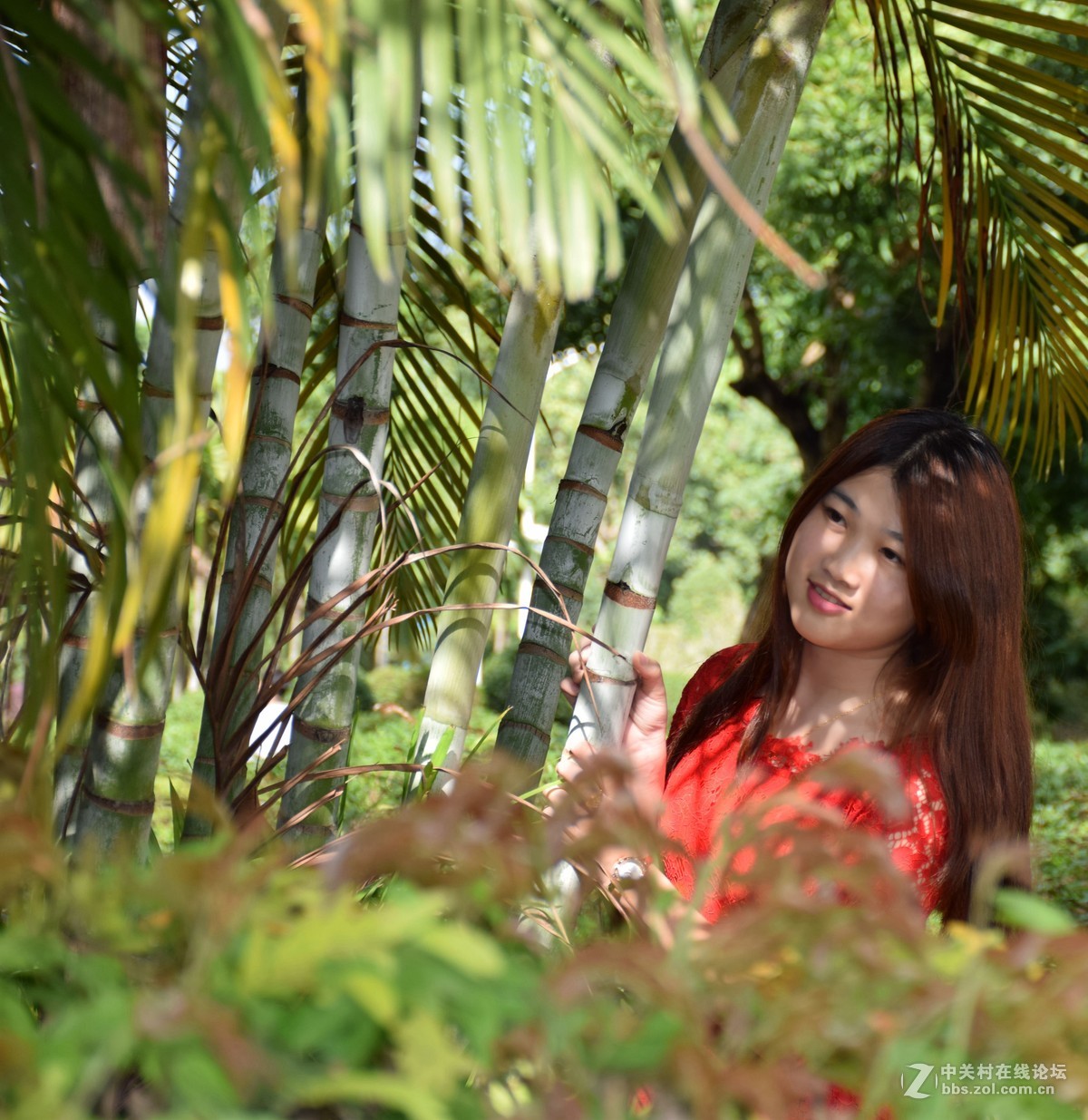 感受这个冬天最后一把暖阳