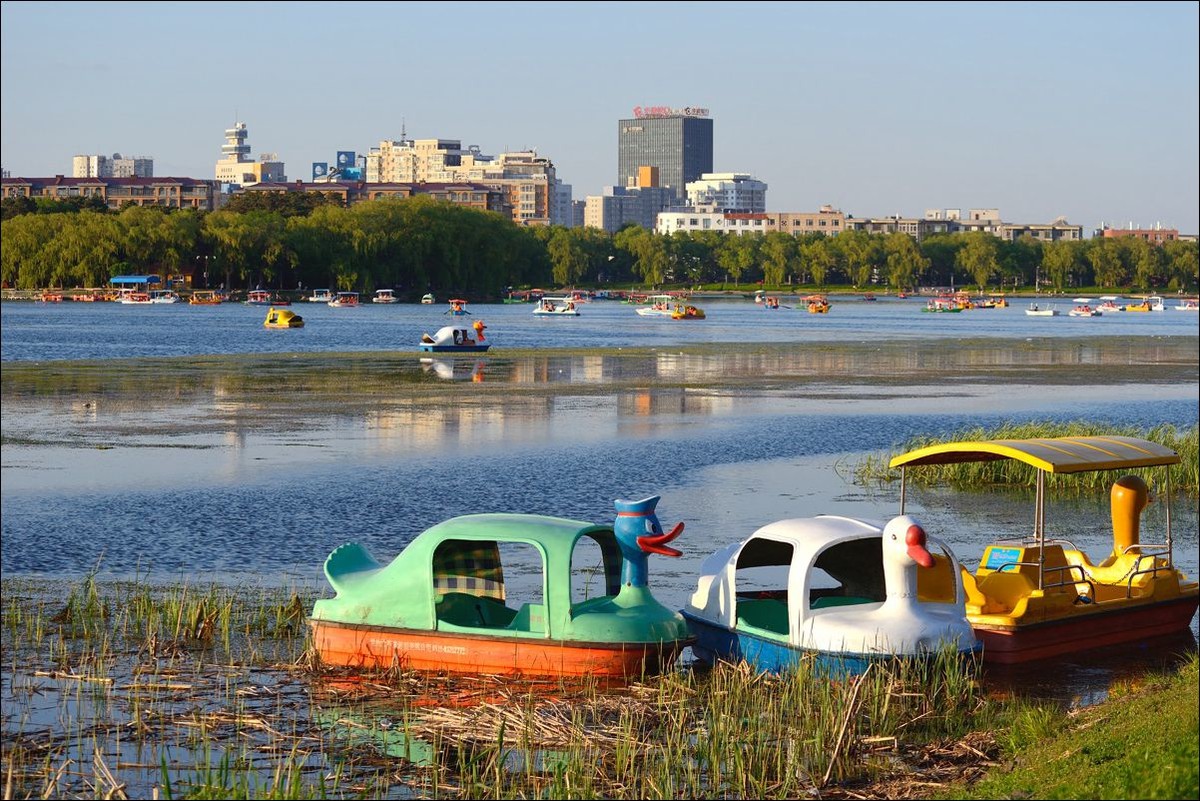 休闲随拍（320）