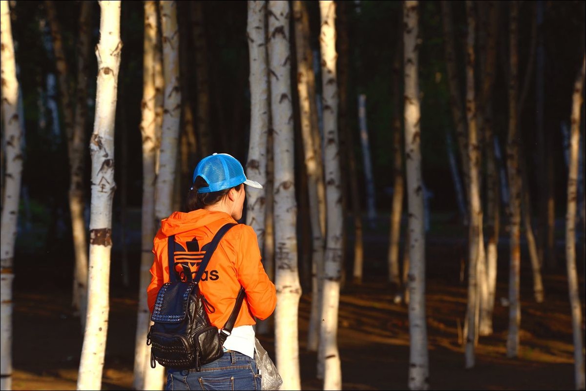 休闲随拍（320）