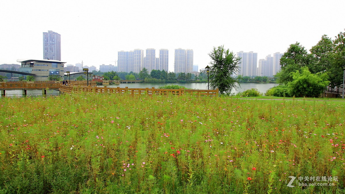 鳳凰湖溼地公園