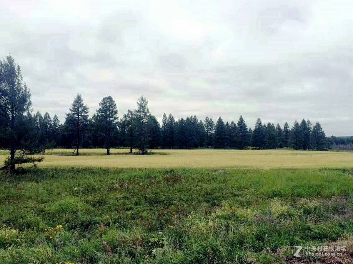 室韦与临江风光